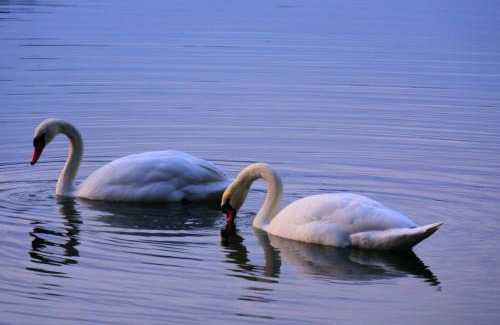 Schwielochsee House | Am Kiefernweg 17