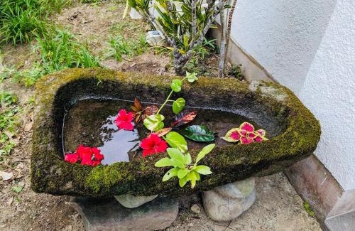 Akagina House | Amami North Mangrove Inn - Vacation STAY 90032v