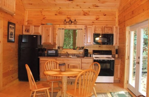 Robbinsville Cabin | AMAZING & COZY LOG CABIN IN WOODS