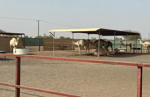 Madinat Zayed House | Amg