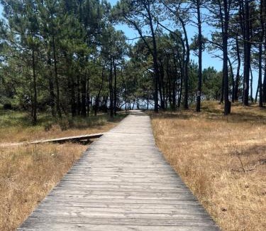 Tomino House | Amor-In