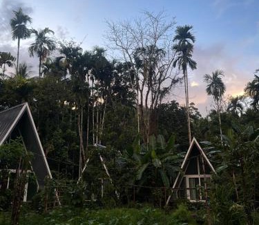 Khlong Sok House | Ample Forest Khao Sok Farmstay