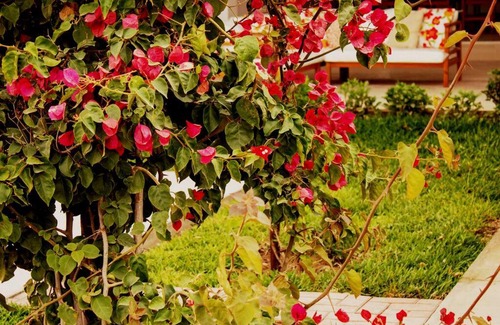 Pachacamac House | Amplia Casa de Campo con Piscina en Cieneguilla