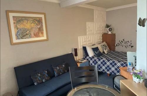 Metepec Apartment | Amplia Habitación tipo Ejecutiva con baño y acceso privados