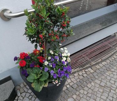 Rubeland Apartment | An der Bode