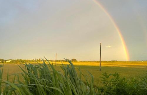 Long Dien Villa | An Nhiên Homestay- Cánh đồng An Nhất