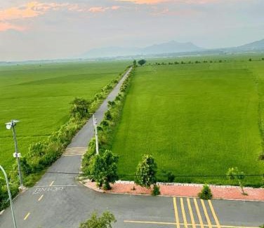 Long Dien Villa | An Nhiên Homestay- Cánh đồng An Nhất