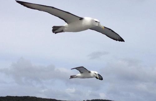 Oban House | Anchorstone