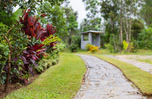 Andasibe Cabin | Andasibe Lemurs Lodge