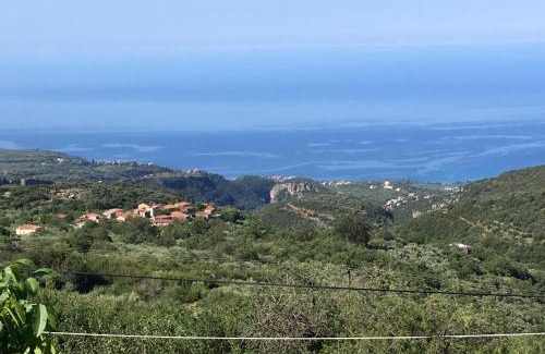 West Mani House | Angel