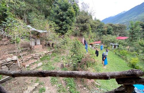 Santa Teresa Cabin | Anita lodge