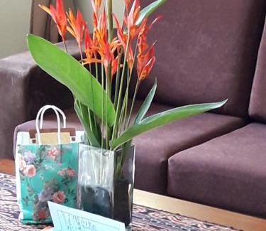 Dungun Ski Chalet | Anjung Nor Muslim Homestay