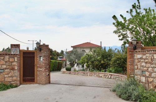Chalcis Villa | Anthelia