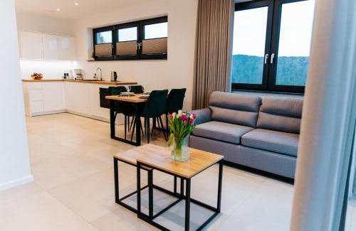 Raba Wyzna Apartment | Apart Home Raba Wyżna