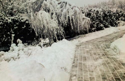 Krynica-Zdroj Apartment | Apartament Frezja