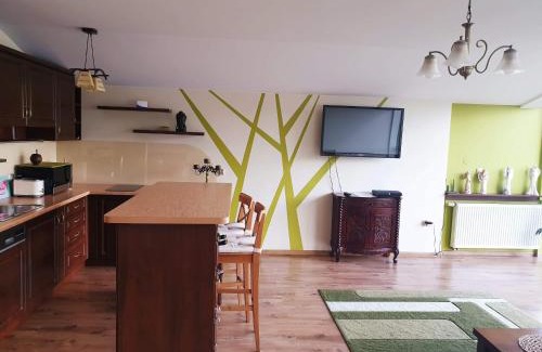 Limanowa Apartment | Apartament Kleopatra