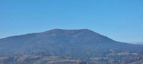 Mszana Dolna Apartment | Apartament Miód Malina