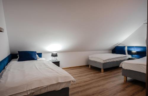 gmina Plesna Apartment | Apartament w Winiarni