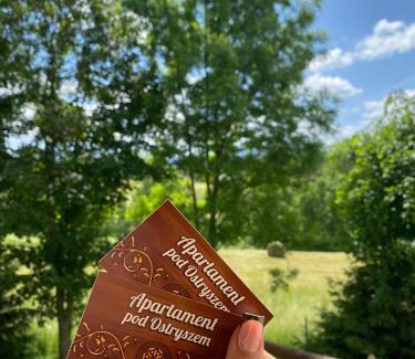 Dzianisz Apartment | Apartament Pod Ostryszem