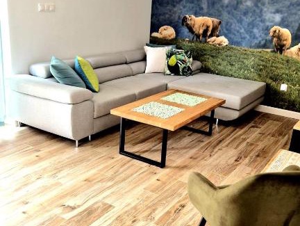 Jaworki Apartment | Apartament Sielanka Jaworki