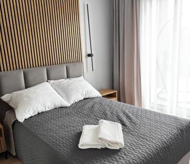 Sandomierz Apartment | Apartament VitisPark