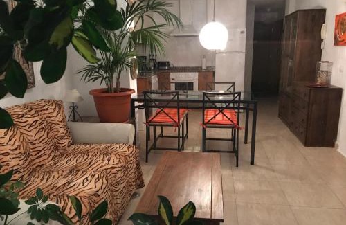 Tazacorte Apartment | Apartamento Atico Guanchita