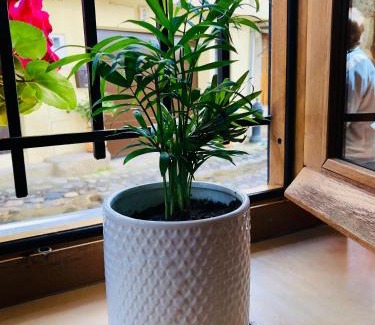 San Martin de Trevejo Apartment | Apartamento Rural Val de Xálima