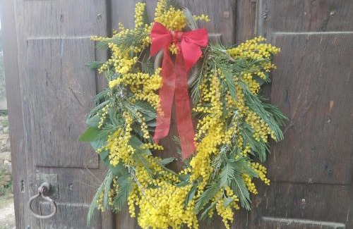 Tronceda Apartment | Apartamento Felicitas en La Casa de Cobos, Ribeira Sacra