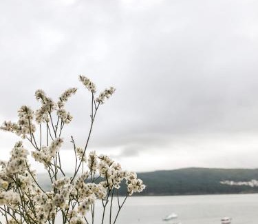 Corcubion Apartment | Apartamento Fufú by ALÔGA