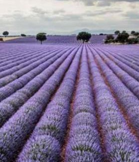 Alaminos Apartment | Apartamento Los Arcos