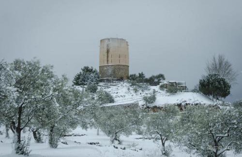 Yunquera Apartment | Apartamento Roma