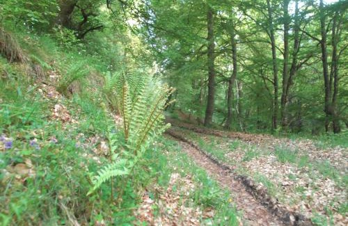 Polaciones House | Apartamento San Mamés