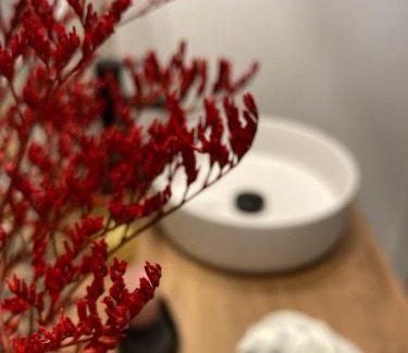 Corella Apartment | Apartamentos Abadía.