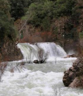 Coto Rios Apartment | Apartamentos Buena Vista 2