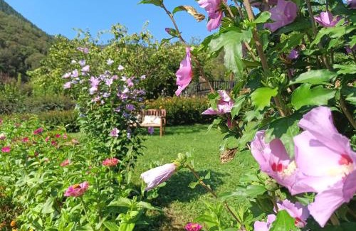 Cabezon de Liebana Hotel | Apartamentos Calm & Nature - Adults Only