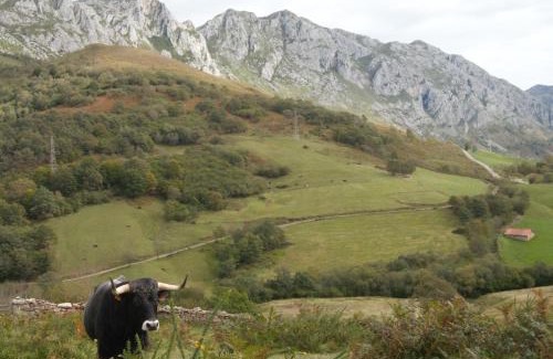 Penarrubia Apartment | Apartamentos El Abertal