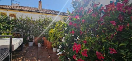 Ronda Apartment | Apartamentos Los Descalzos Ángel With Private Terrace Free Parking