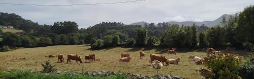 Llamigo Apartment | Apartamentos Rurales Inguanzo