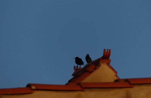 Villa del Rey Apartment | Apartamentos Rurales Las Grullas