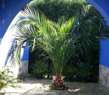 Valdredo Apartment | Apartamentos y Habitaciones Casa Bego