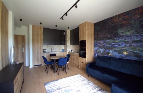 Lesko Apartment | Apartamenty Lesko 36