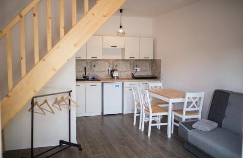 Suchedniow Apartment | Apartamenty Pasternik 7