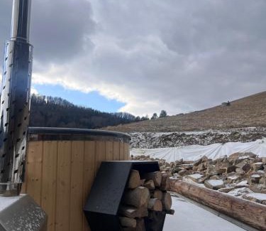 Baligrod Apartment | Apartamenty Pod Skałą