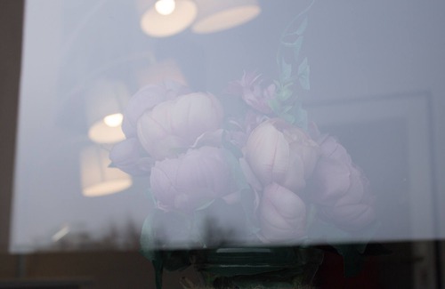 Klagenfurt am Woerthersee Apartment | Apartment 719