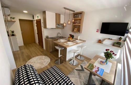 Virovitica Apartment | Apartman Edita