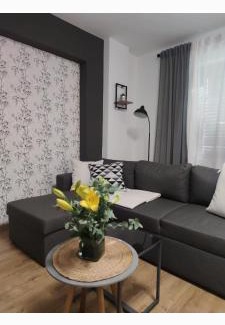 Pozega Apartment | Apartman Luka