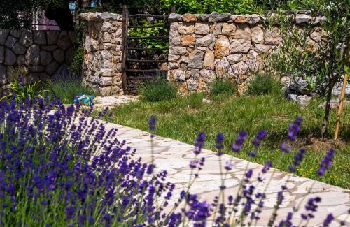 Lun Apartment | Apartmani Maslina