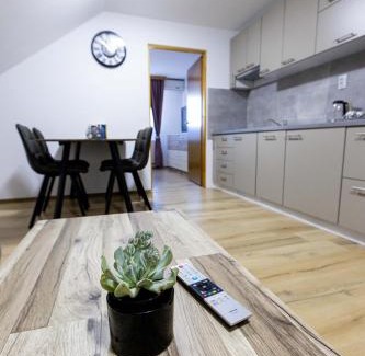 Svajcarnica Apartment | Apartmani Tomšić