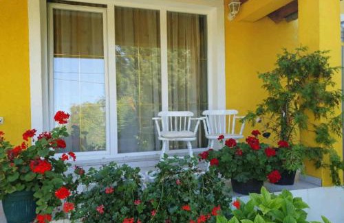 Draz Apartment | Apartment Čeliković