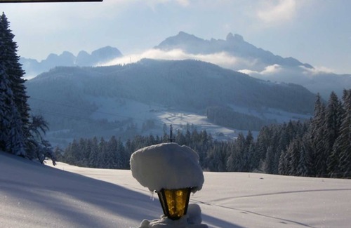 Abtenau Apartment | Apartment 1 - Biohof Haus Wieser